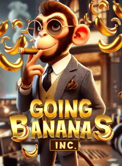 IPL betting game cover